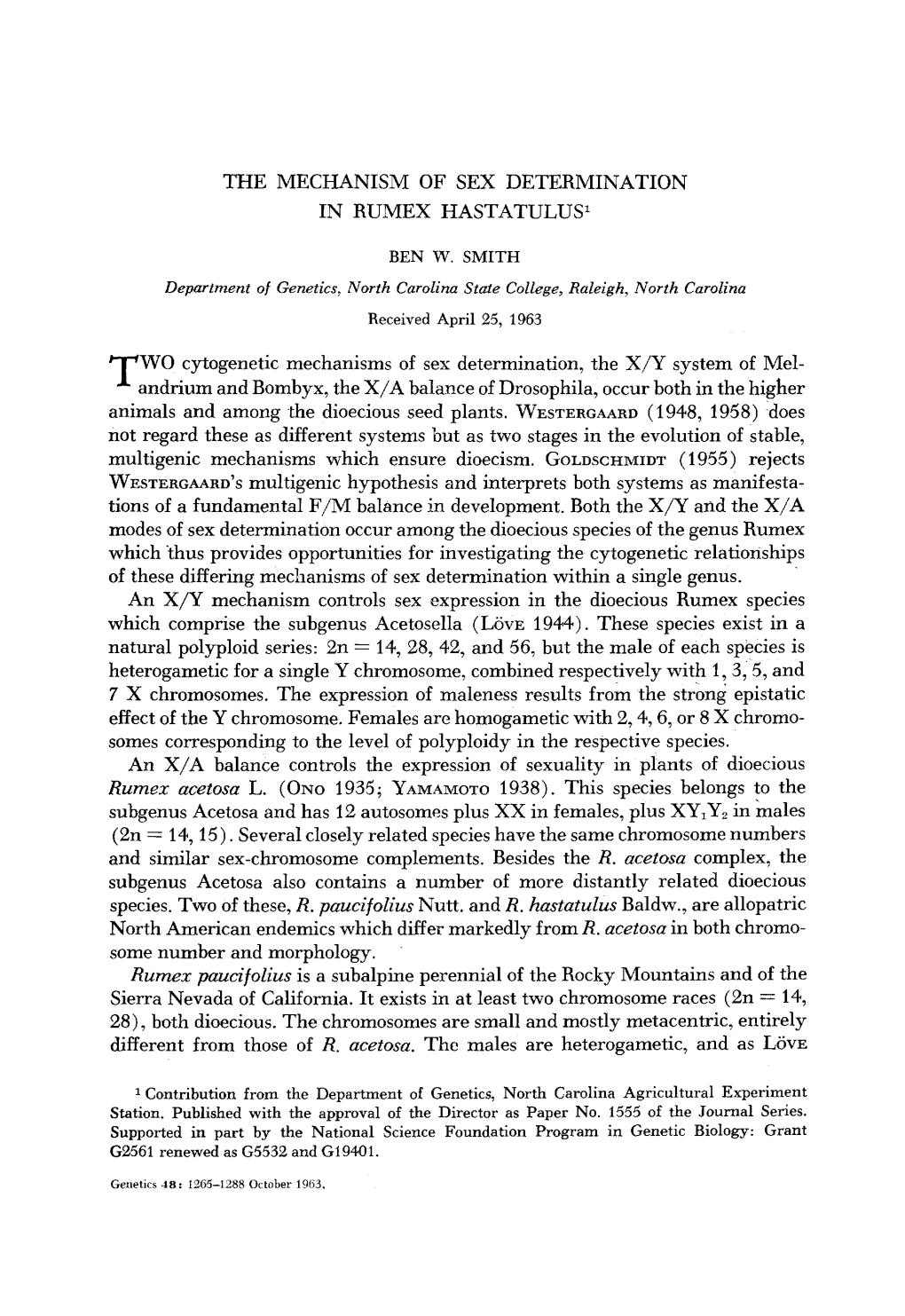 The Mechanism of Sex Determination in Rumex Hastatulusi