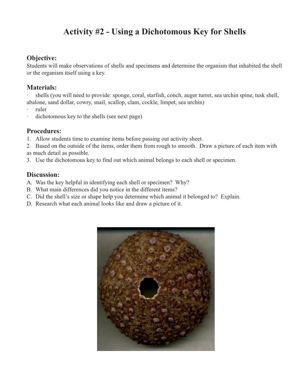 Using a Dichotomous Key for Shells