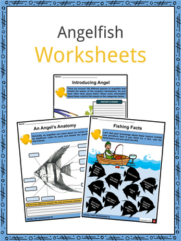 Angelfish Worksheets Free Sample