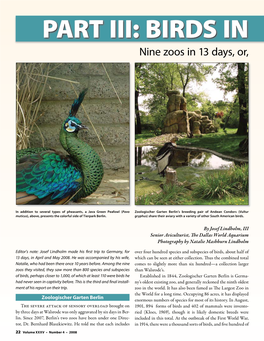 BIRDS in Nine Zoos in 13 Days, Or