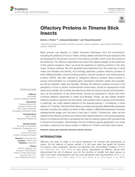 Olfactory Proteins in Timema Stick Insects