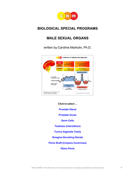 Biological Special Programs Male Sexual Organs