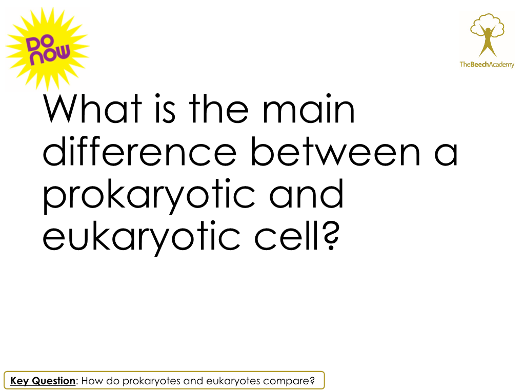 what-is-the-main-difference-between-a-prokaryotic-and-eukaryotic-cell