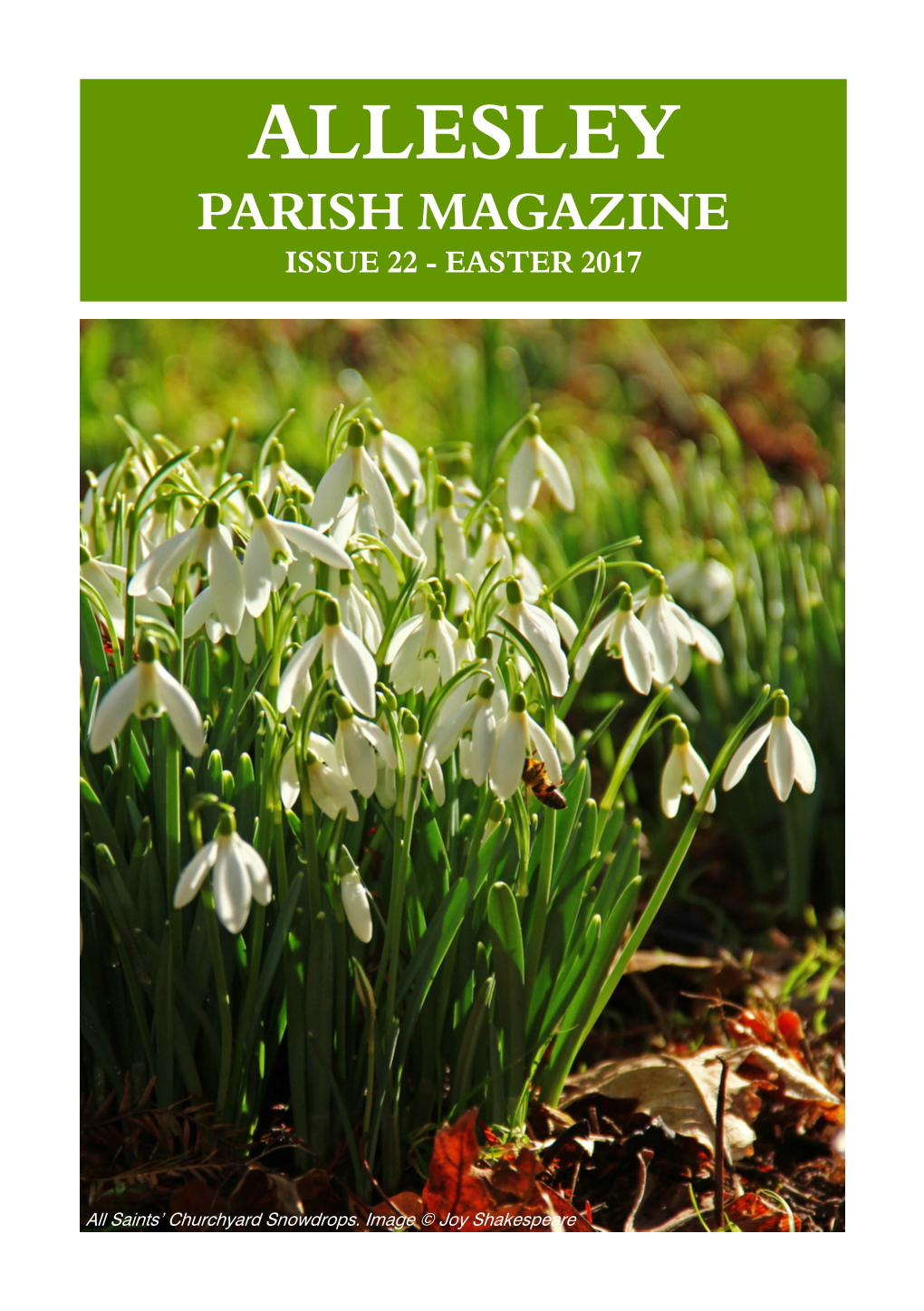 Parish Magazine Issue 22 - Easter 2017 2