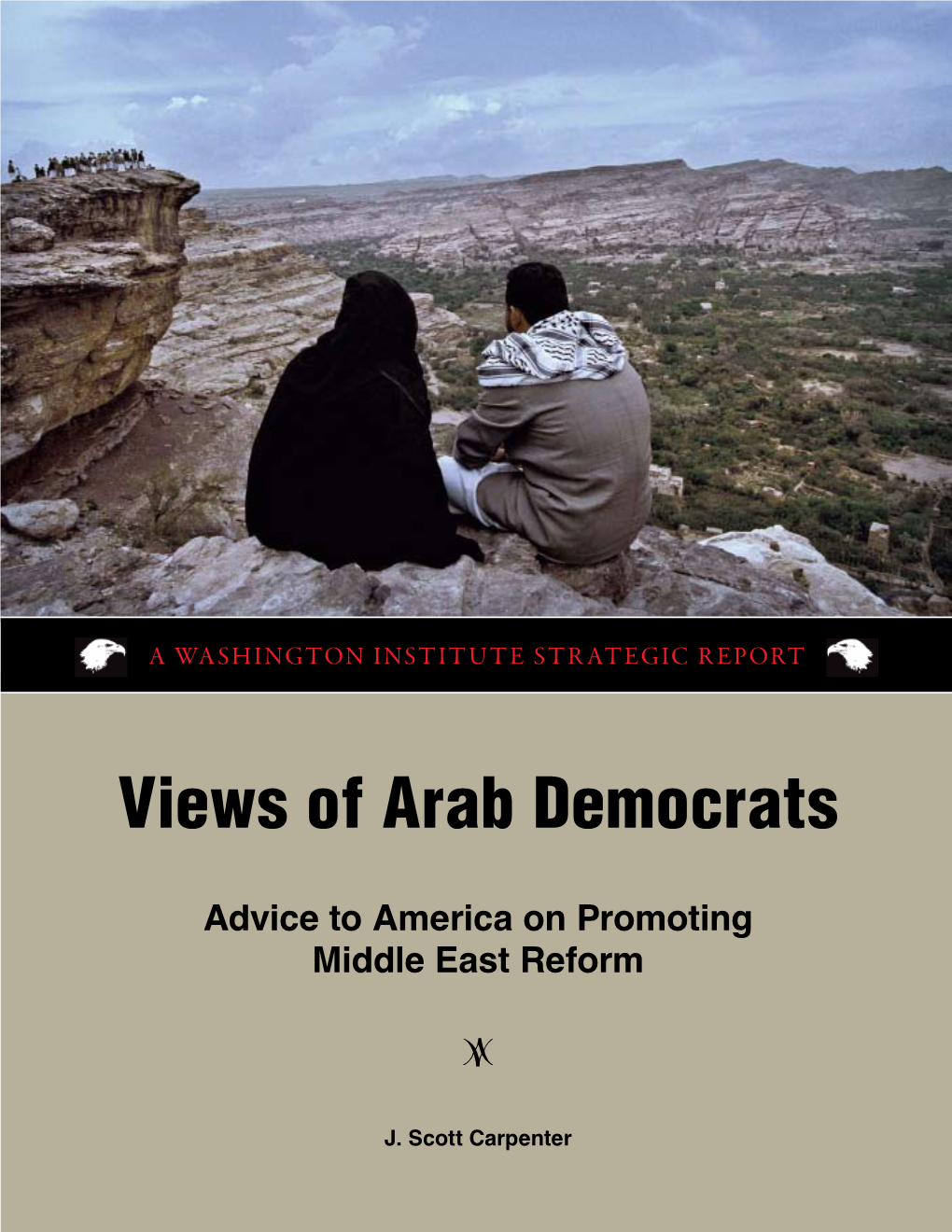 Views of Arab Democrats