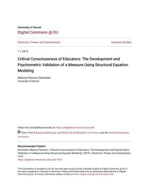 Critical Consciousness of Educators: the Development and Psychometric Validation of a Measure Using Structural Equation Modeling