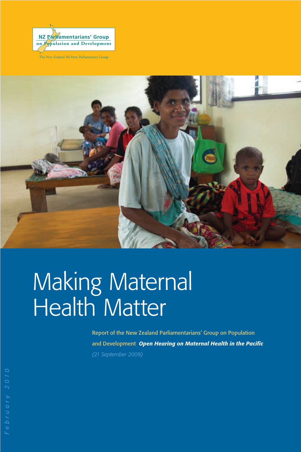 Making Maternal Health Matter