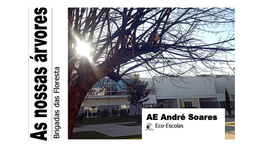 Arboreto Da Escola André Soares
