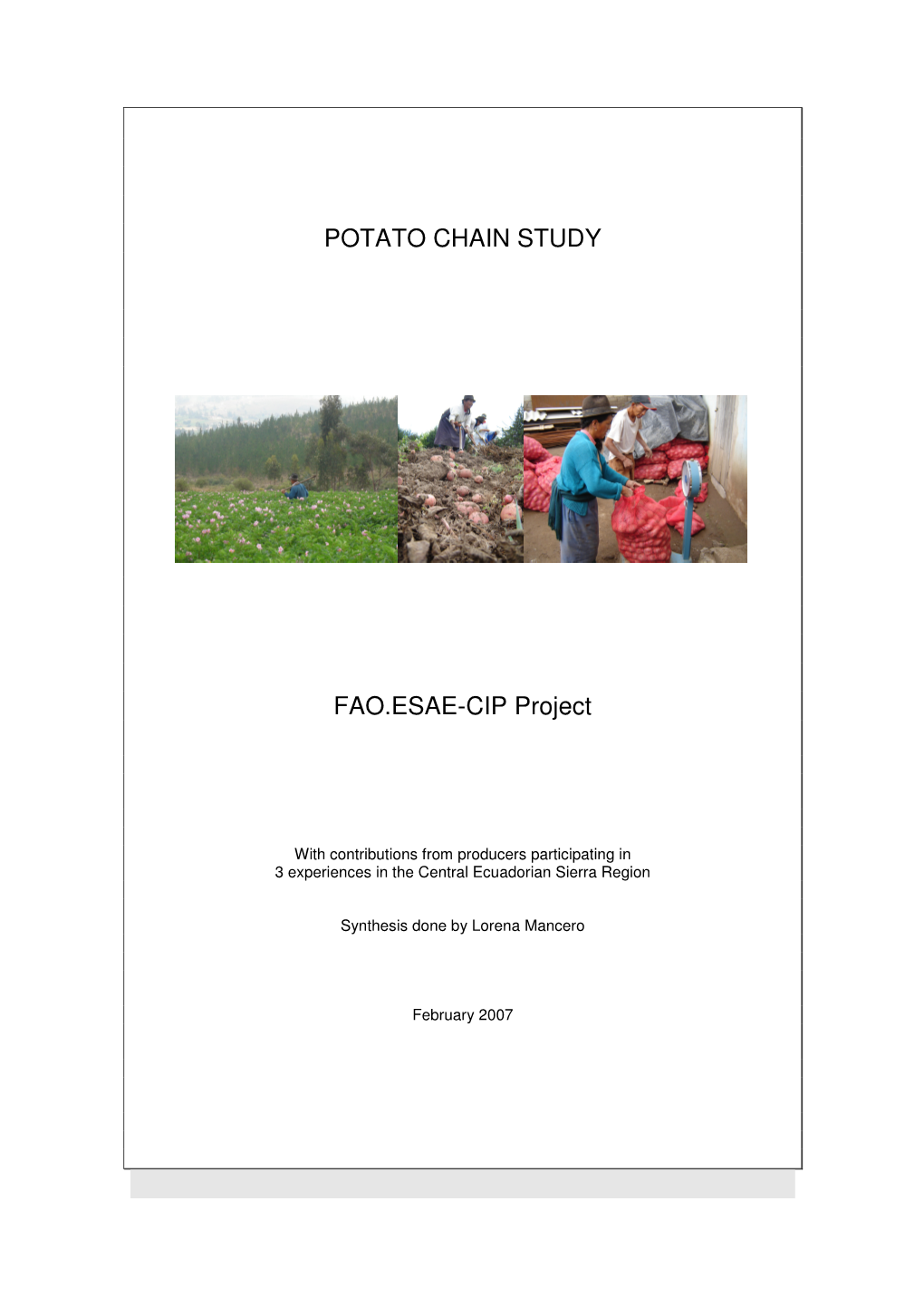POTATO CHAIN STUDY FAO.ESAE-CIP Project
