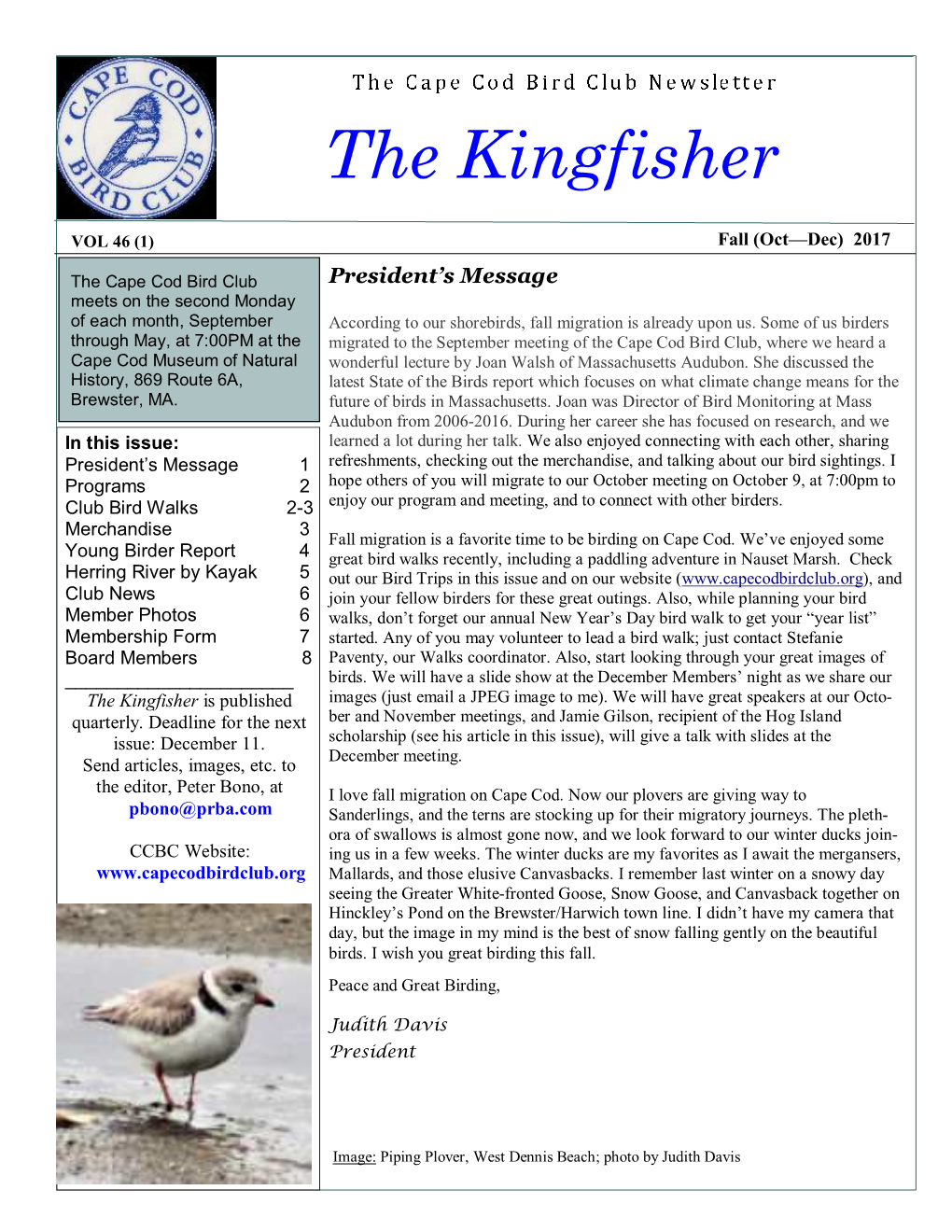 The Kingfisher