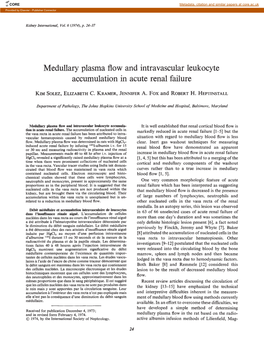 Medullary Plasma Flow and Intravascular Leukocyte Accumulation in Acute Renal Failure