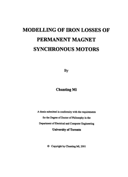 Modelling of Iron Losses of Permanent Magnet Synchronous Motors