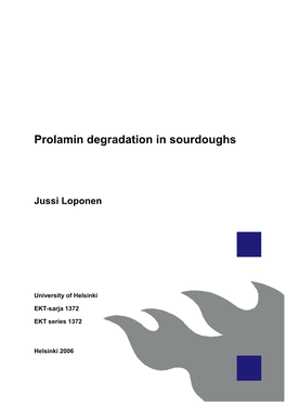 Prolamin Degradation in Sourdoughs