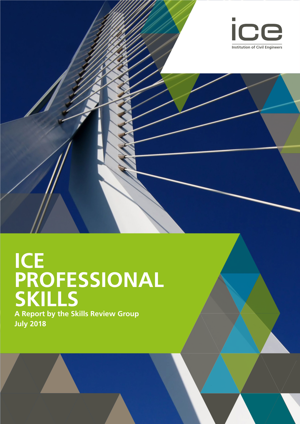 ICE Professional Skills Report