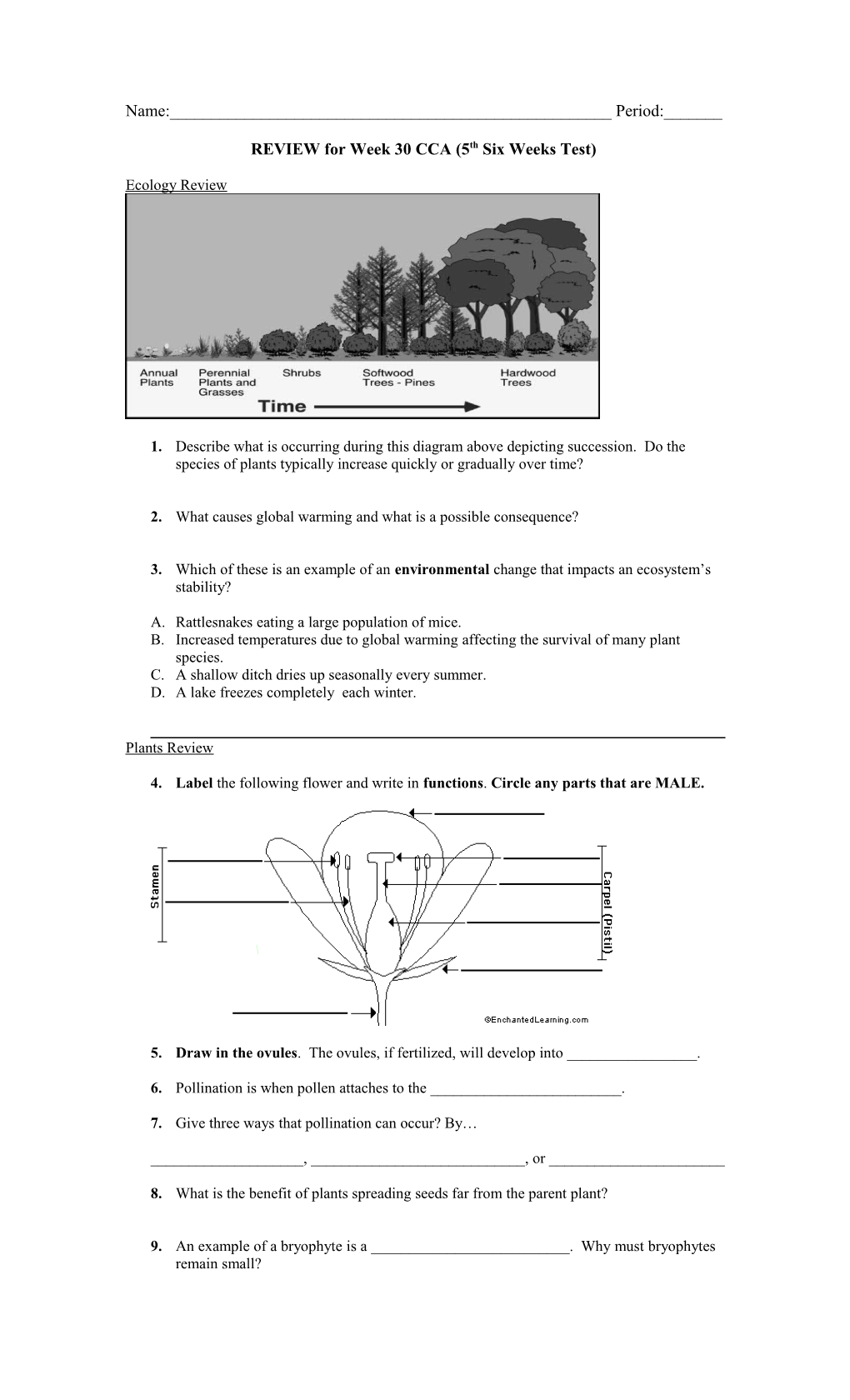 REVIEW for Week 30 CCA (5Th Six Weeks Test)