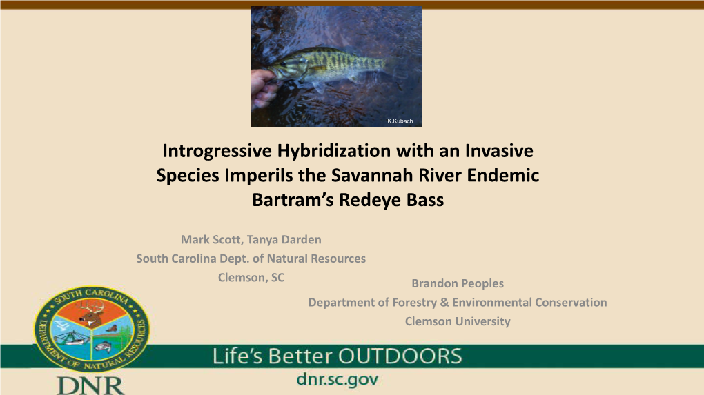 Introgressive Hybridization with an Invasive Species Imperils the Savannah River Endemic Bartram’S Redeye Bass
