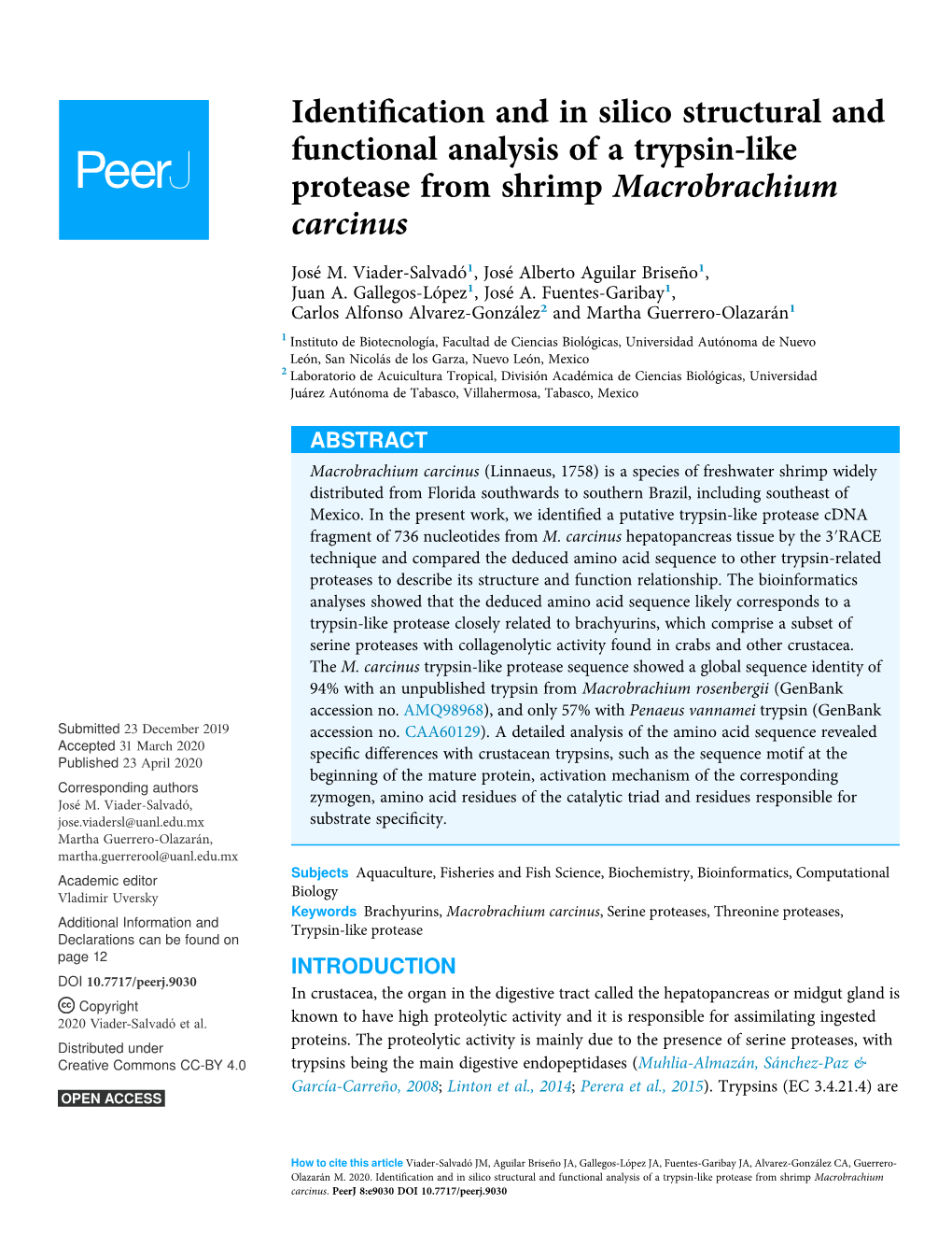 Identification and in Silico Structural and Functional Analysis of a Trypsin-Like Protease from Shrimp Macrobrachium Carcinus