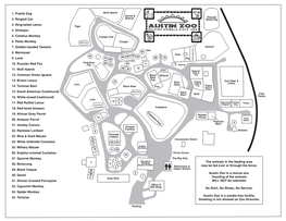 Austin Zoo Map V5 Copy