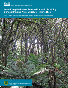 Quantifying the Role of Forested Lands in Providing Surface Drinking Water Supply for Puerto Rico