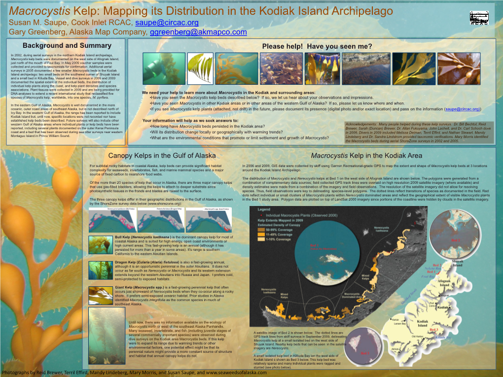 Macrocystis Kelp: Mapping Its Distribution in the Kodiak Island Archipelago Susan M
