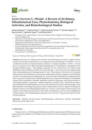 Isatis Tinctoria L. (Woad): a Review of Its Botany, Ethnobotanical Uses, Phytochemistry, Biological Activities, and Biotechnological Studies