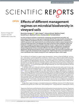 Effects of Different Management Regimes on Microbial Biodiversity in Vineyard Soils