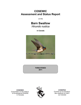 Barn Swallow (Hirundo Rustica) Is a Medium-Sized Passerine (Total Length: 15- 18 Cm)