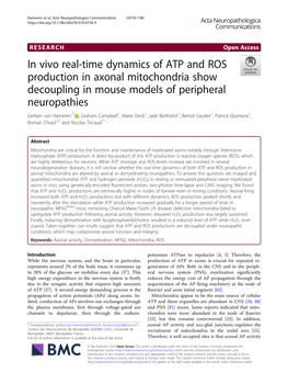 In Vivo Real-Time Dynamics of ATP and ROS Production in Axonal