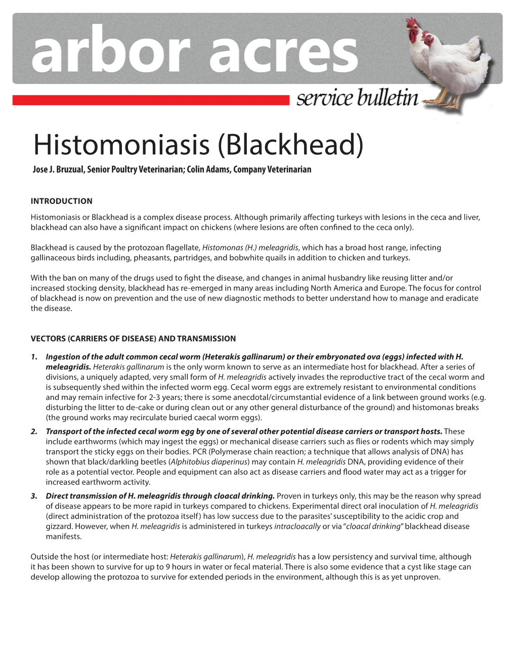 Histomoniasis (Blackhead) Jose J