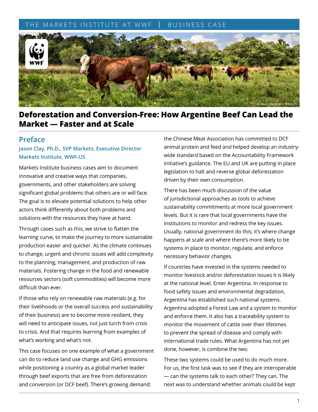 Deforestation and Conversion-Free: How Argentine Beef Can Lead the Market — Faster and at Scale