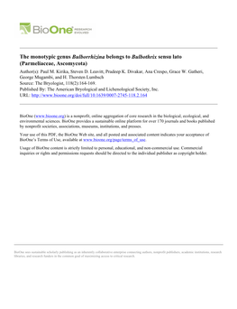 The Monotypic Genus Bulborrhizina Belongs to Bulbothrix Sensu Lato (Parmeliaceae, Ascomycota) Author(S): Paul M