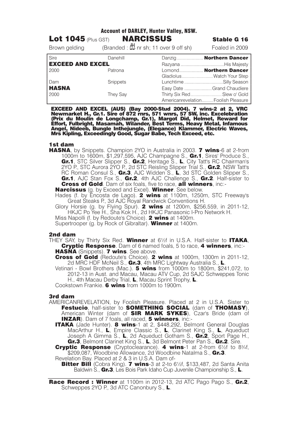 NARCISSUS Stable G 16 Brown Gelding (Branded : Nr Sh; 11 Over 9 Off Sh) Foaled in 2009