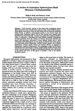 A Review of Australian Siphonicytara Busk (Bryozoa: Cheilostomatida)