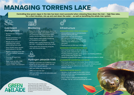 Torrens Lake Update: Summer 2020–21