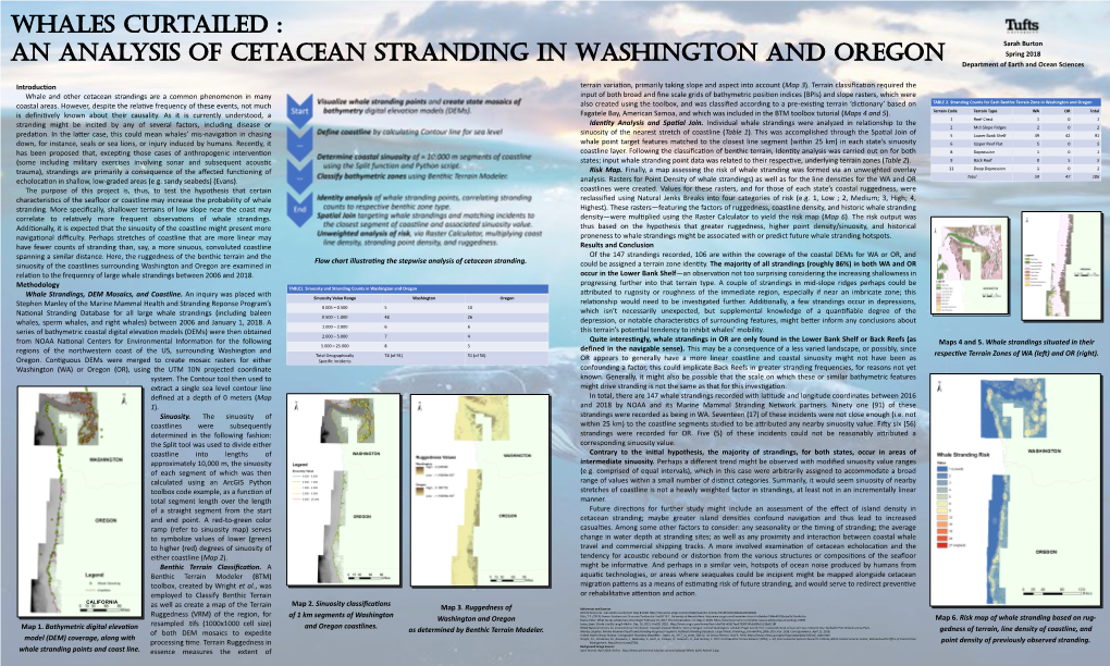 Introduction Whale and Other Cetacean Strandings Are a Common Phenomenon in Many Coastal Areas. However, Despite the Relative F