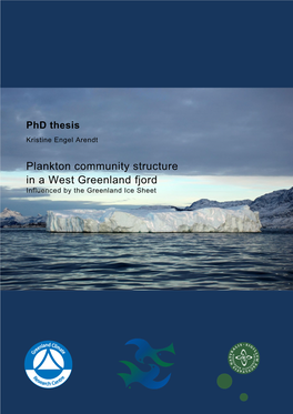 Plankton Community Structure in a West Greenland Fjord Influenced by the Greenland Ice Sheet