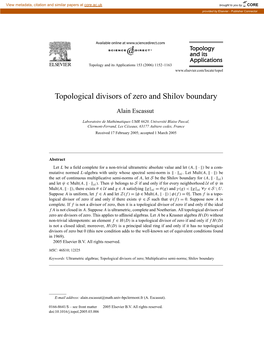 Topological Divisors of Zero and Shilov Boundary