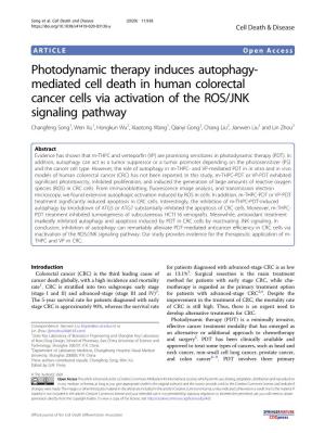 Photodynamic Therapy Induces Autophagy-Mediated Cell Death In