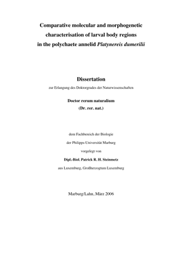 Comparative Molecular and Morphogenetic Characterisation of Larval Body Regions in the Polychaete Annelid Platynereis Dumerilii