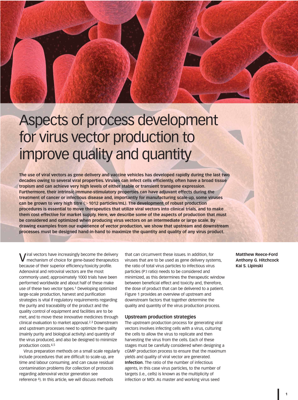 Aspects of Process Development for Virus Vector Production to Improve Quality and Quantity
