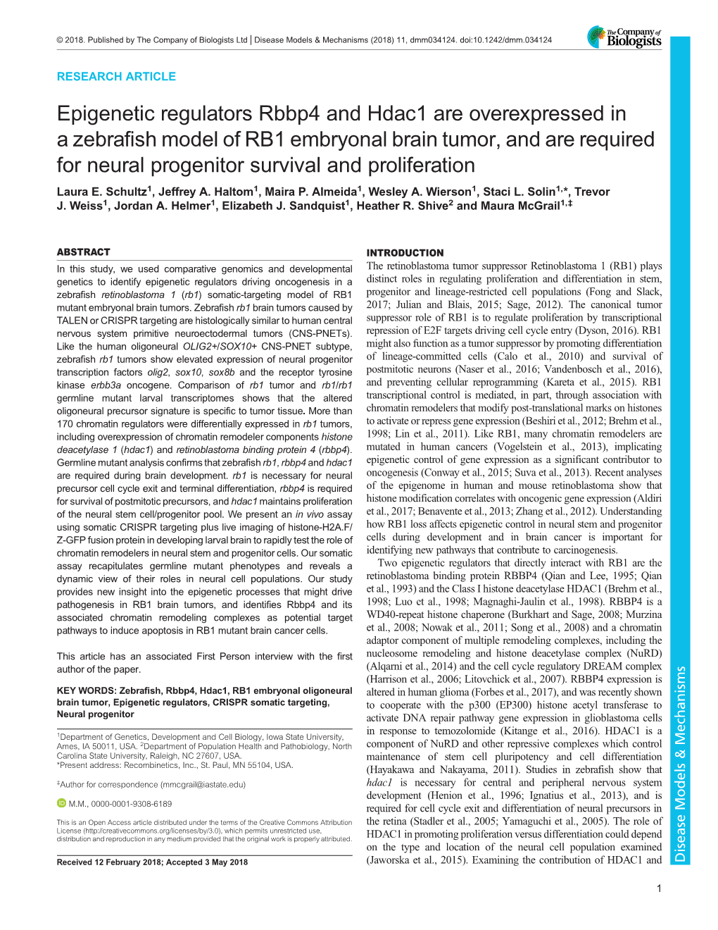 Epigenetic Regulators Rbbp4 and Hdac1 Are Overexpressed in A