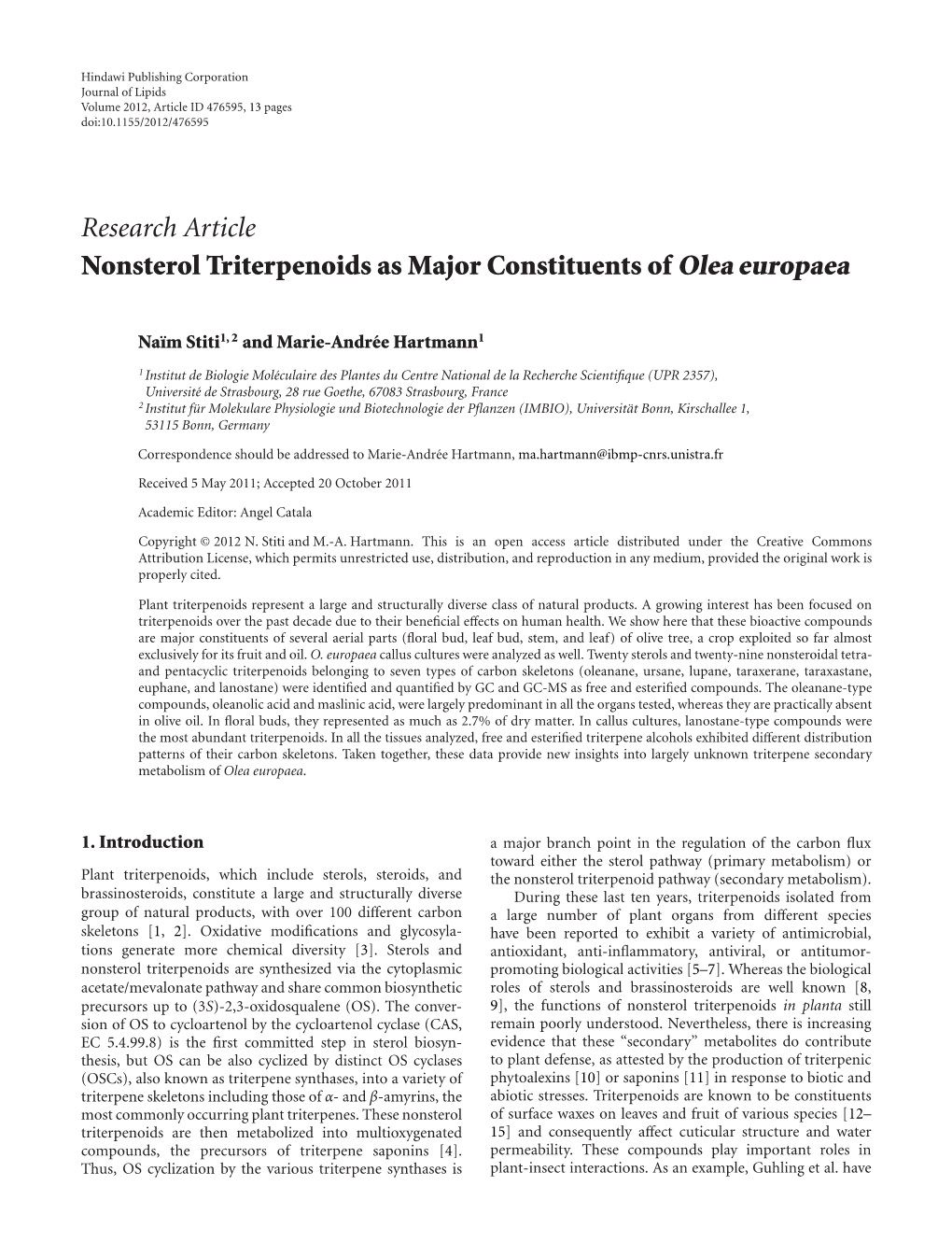 Nonsterol Triterpenoids As Major Constituents of Olea Europaea