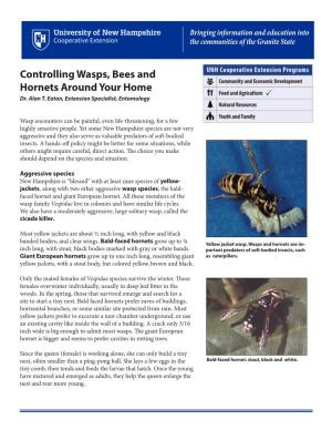 Controlling Wasps, Bees and Hornets Around Your Home  Dr