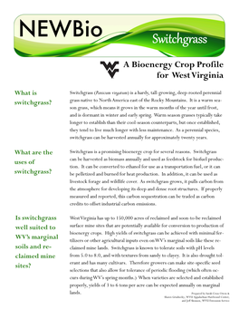 Switchgrass: a Bioenergy Crop Profile for West Virginia