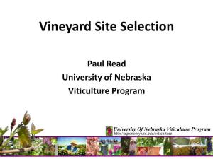 Vineyard Site Selection