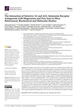 The Interaction of Selective A1 and A2A Adenosine Receptor Antagonists with Magnesium and Zinc Ions in Mice: Behavioural, Biochemical and Molecular Studies