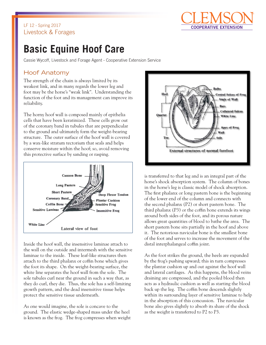 Equine Hoof Care Cassie Wycoff, Livestock and Forage Agent - Cooperative Extension Service