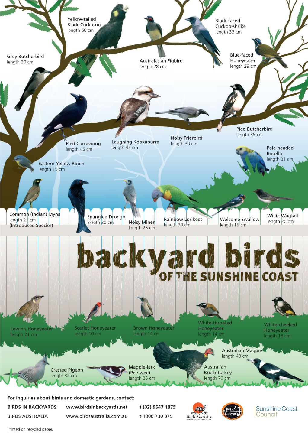 Birds in Your Garden