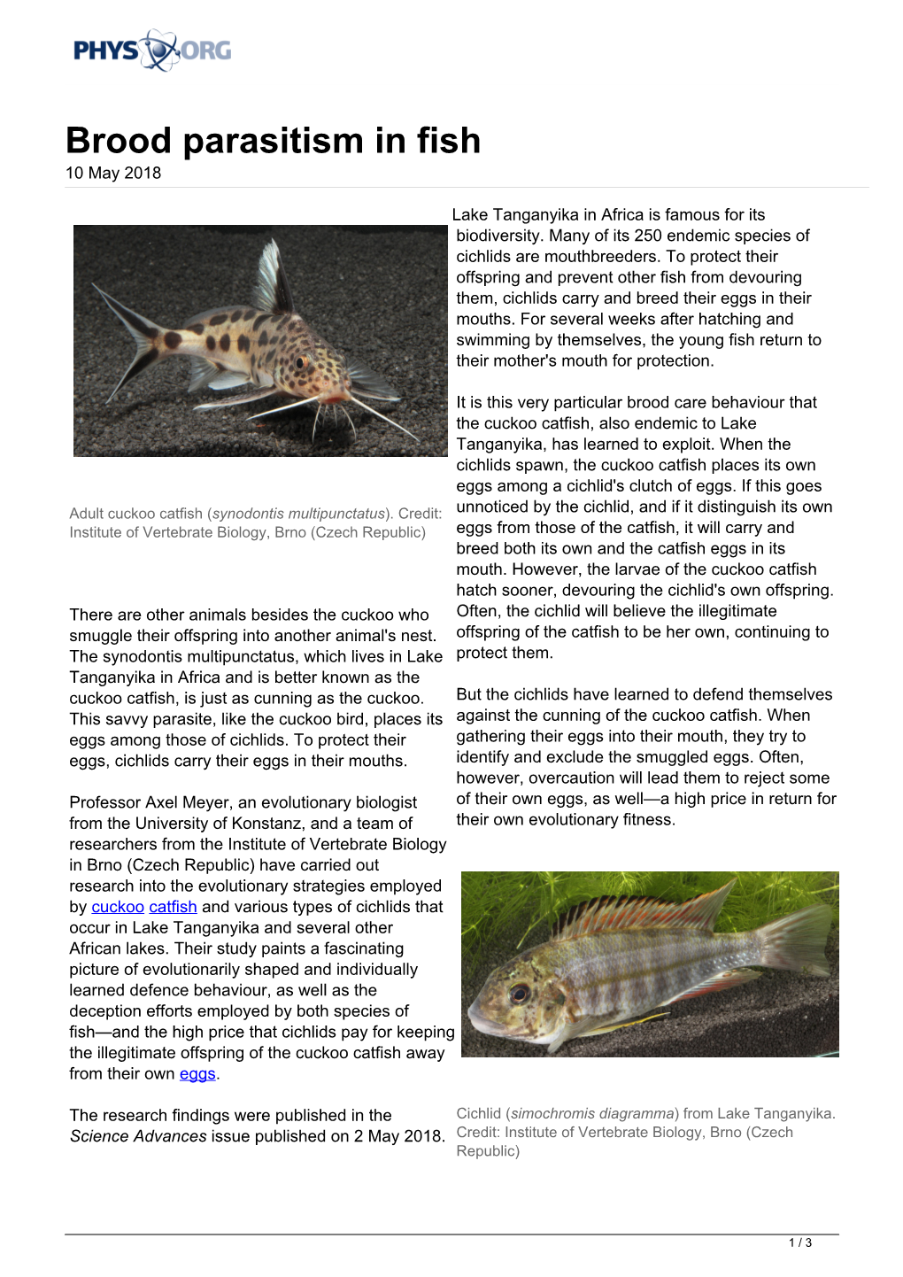 Brood Parasitism in Fish 10 May 2018