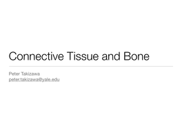 Connective Tissue and Bone